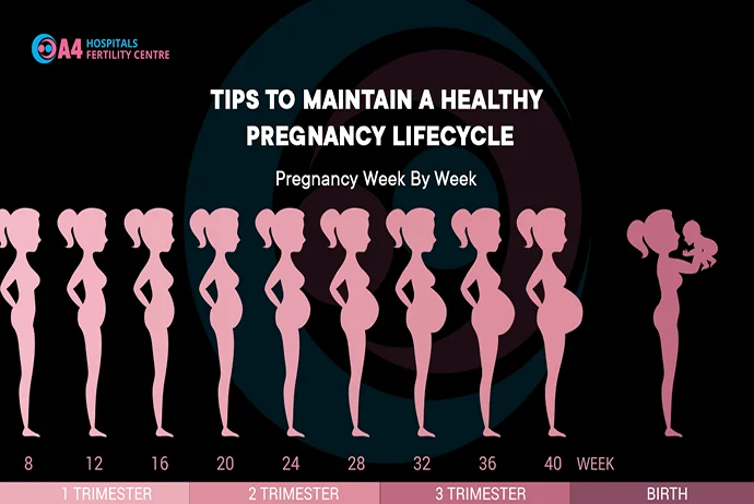 tips-to-maintain-a-healthy-pregnancy-life-cycle-pregnancy-week-by-week