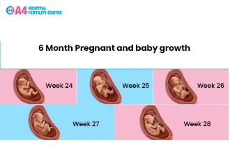 6-months-pregnant-symptoms-and-baby-growth-blog-middle-1