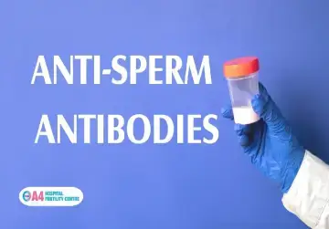 anti-sperm-antibodies