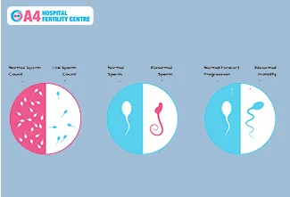 debunking-myths-on-fertility-blog-middle-1