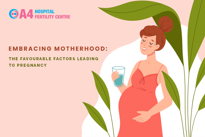 embracing-motherhood-the-favourable-factors-leading-to-pregnancy