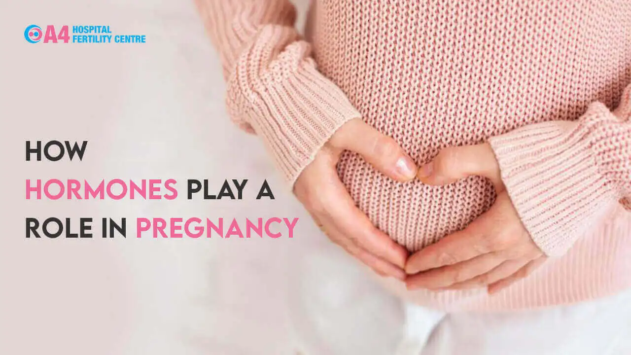 how-hormones-play-a-role-in-pregnancy