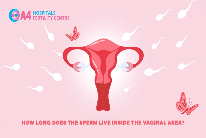 how-long-can-sperm-live-inside-the-vagina-after-intercourse