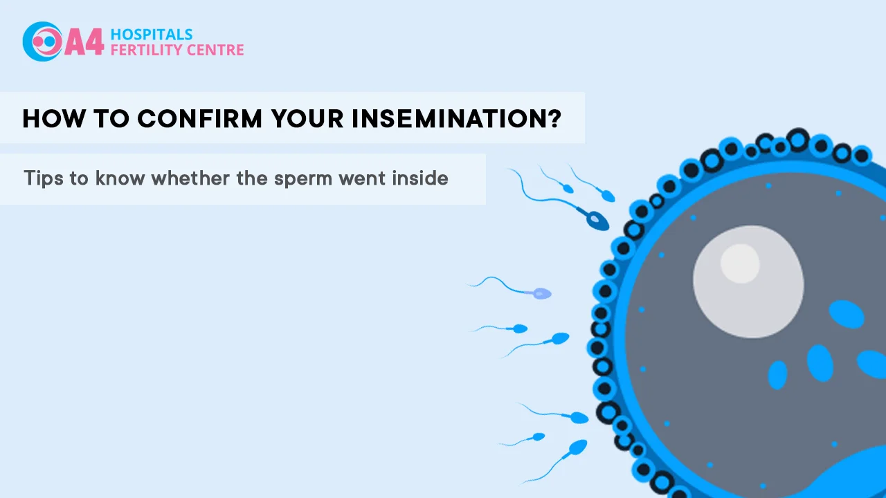 how-to-confirm-whether-sperm-went-inside