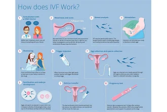 how-to-track-the-different-stages-of-ivf-blog-middle-1