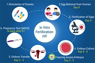 how-to-track-the-different-stages-of-ivf-blog-middle-2