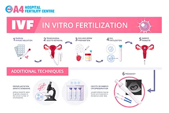 ivf-questions-about-the-procedure-part-3-blog-middle-1