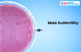 male-subfertility-blog-middle-1